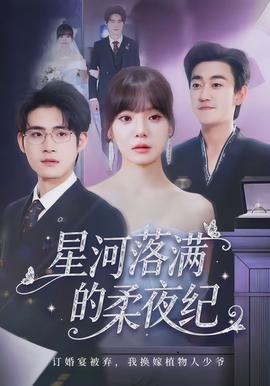 星河落满的柔夜纪