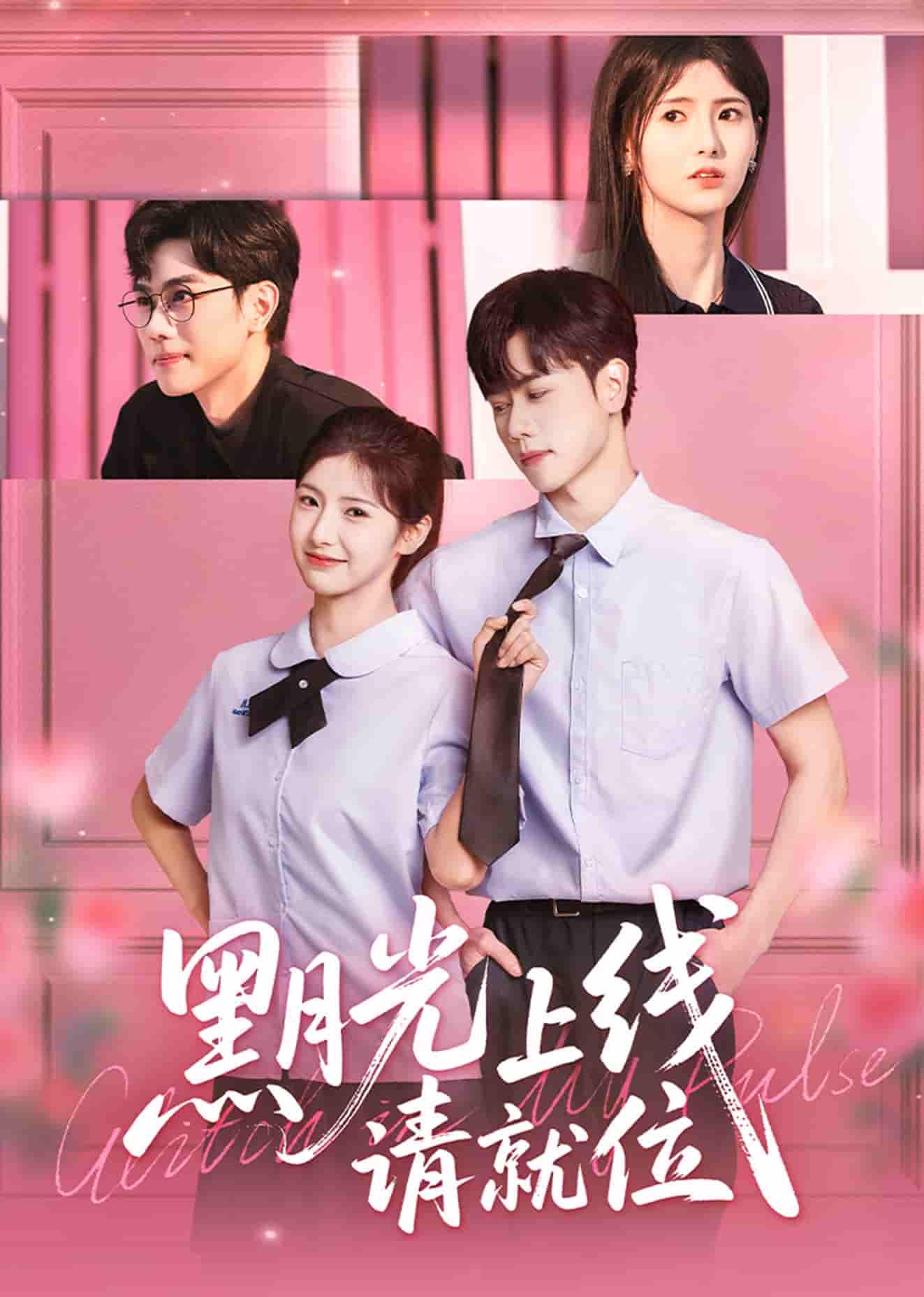 无垠的狂野蓝海第一季