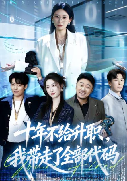 十年不给升职，我带走了全部代码