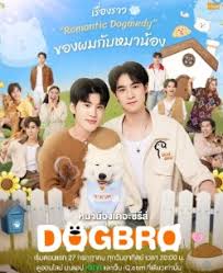 能源展望第一季